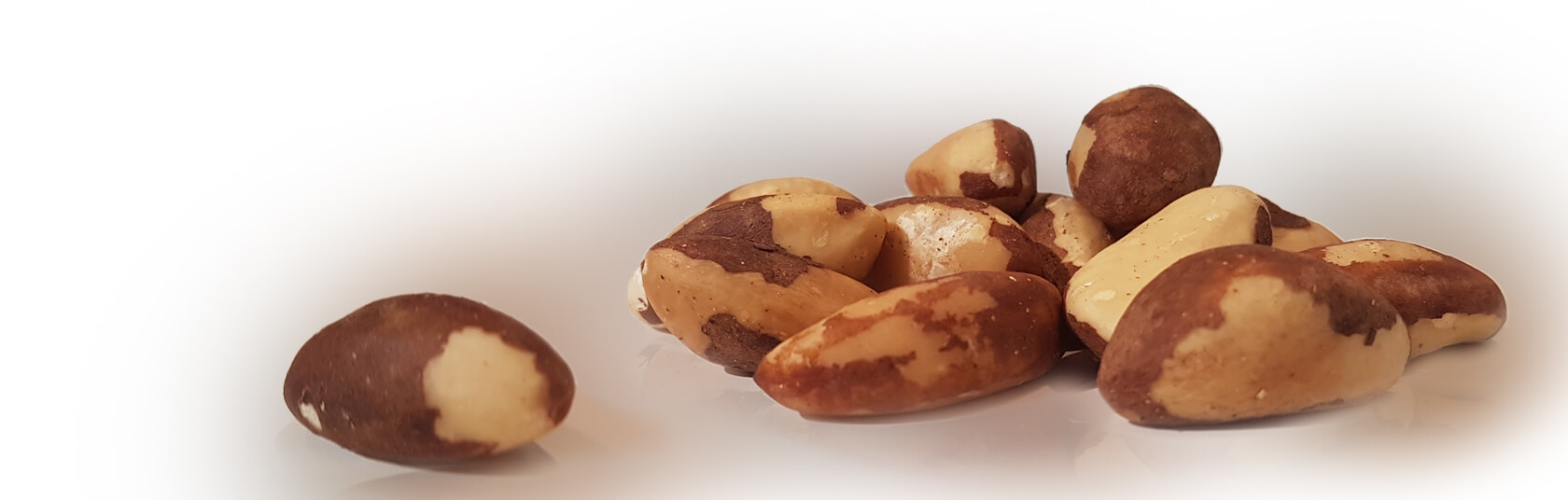 Motie Rubin brazilian nut